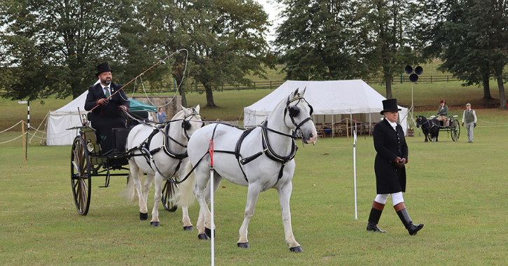 Men on a carriage and horses pulling it at the Concours d’International d’Attelage de Tradition (CIAT) annual carriage driving competition 
